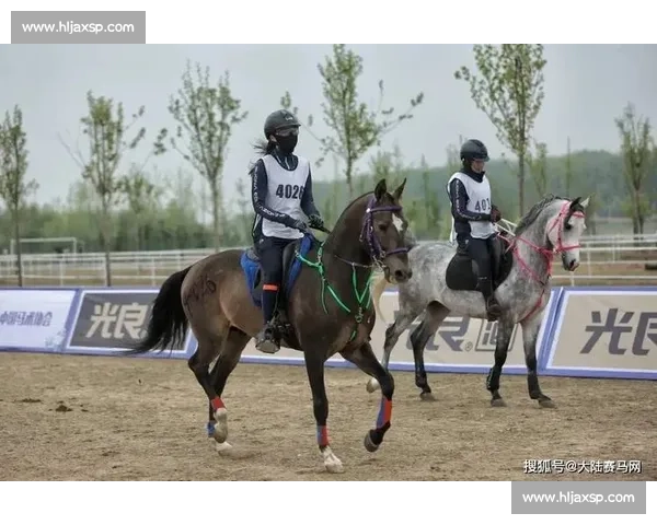 巅峰对决!国内顶级马术赛在邯郸激情开赛