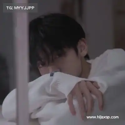 何鹰辉